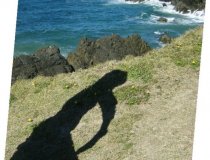 Forward-Defense-Byron Bay