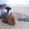 Omanian Turtles at Ras Al Jinz Turtle Reserve
