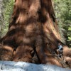 California’s Wilderness – Yosemite, Lake Tahoe and Death Valley