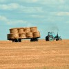 Poland’s Warsaw, Krakow, Sopot and the CNH Plant in Plock