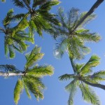 Honolulu’s Waikiki Beach on Oahu Island and Hawaii’s Big Island Volcano – The Incredible Kilauea